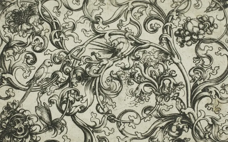 Artwork: Vine Ornament with Parrots and Birds, Martin Schongauer (before 1474) · Art Institute of Chicago, CC0